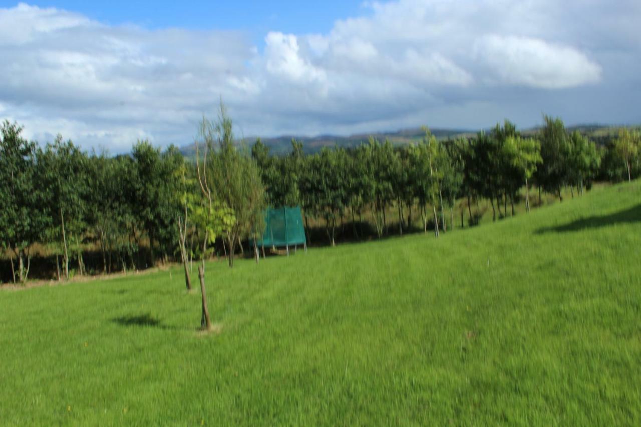 Bunlin Heights Self Catering Studio Milford Buitenkant foto